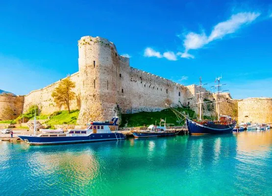 Background Contact Info